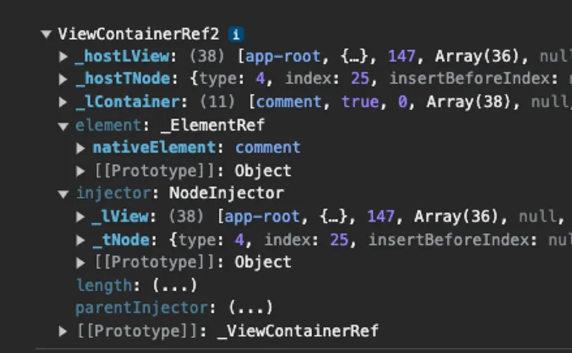 A screenshot of the ViewContainerRef on the directive